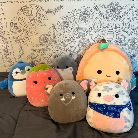 Squishmallows Other - Squishmallow lot